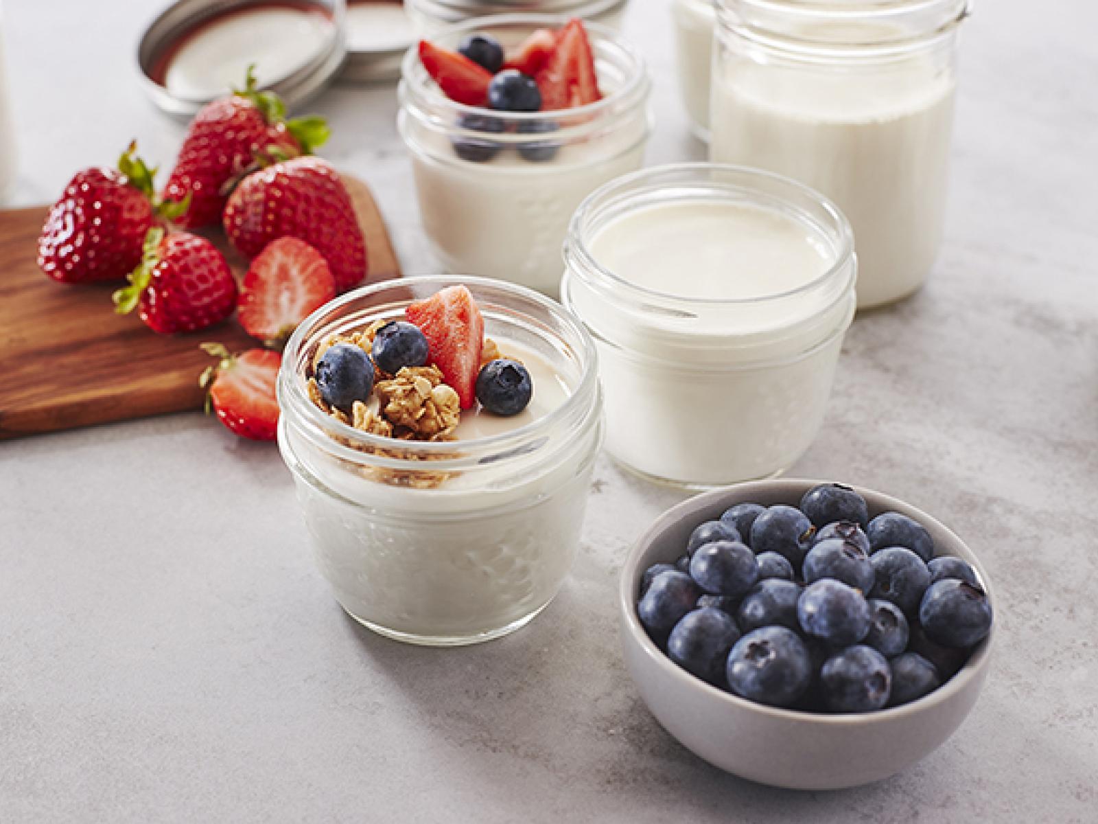 Homemade Yogurt